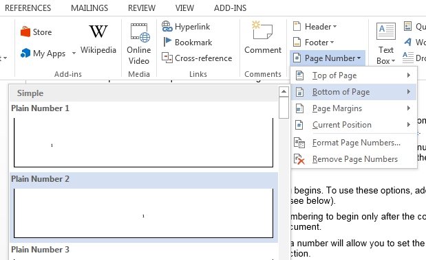 word document numbering pages differently