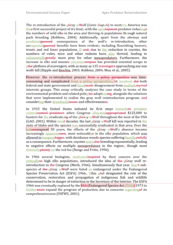Paper Proofreading Example (After Editing)